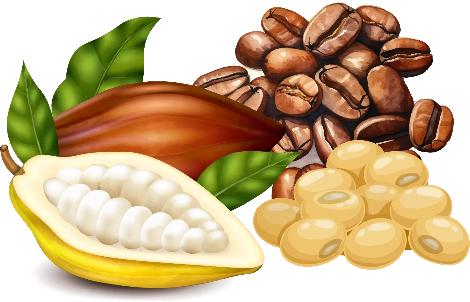 Select the best commodity trading platform and use commodity trading businesses to trade a variety of commodities, such as soybeans, coffee, and cocoa.